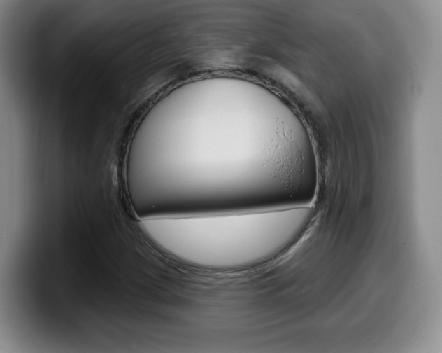 X0000099971209200805230954
