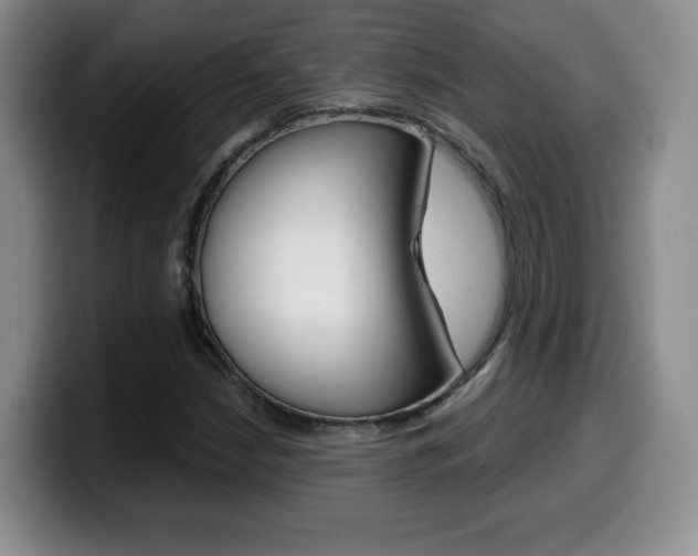 X0000099971210200805230954