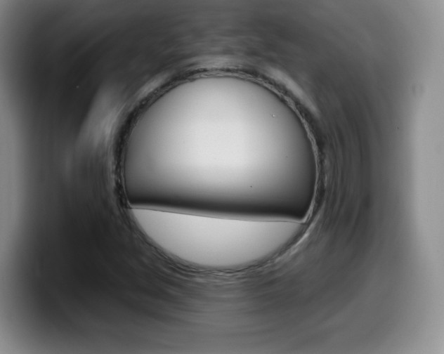 X0000099971213200805230955