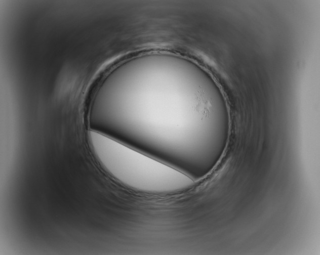 X0000099971214200805230955