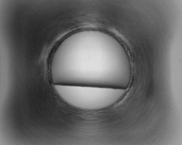 X0000099971215200805230955