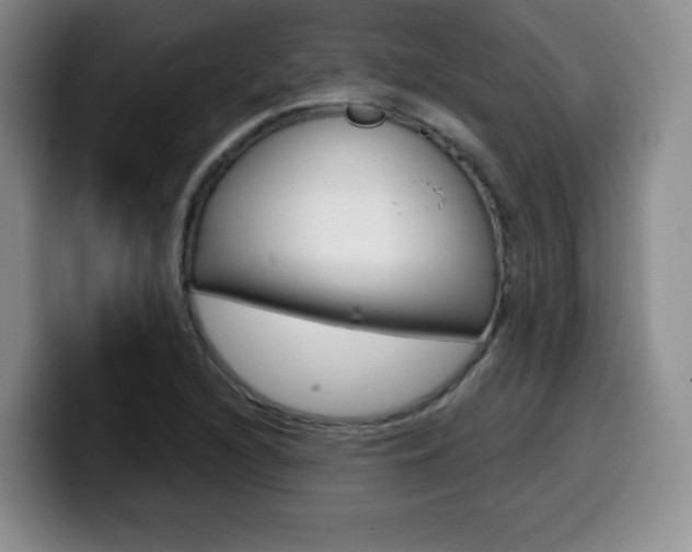 X0000099971216200805230955