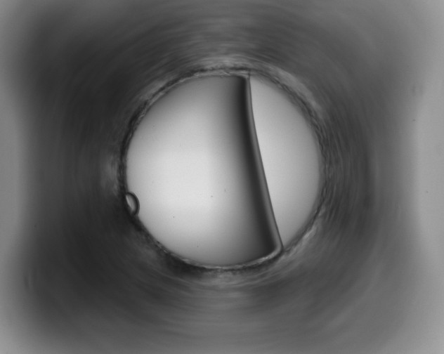 X0000099971217200805230955