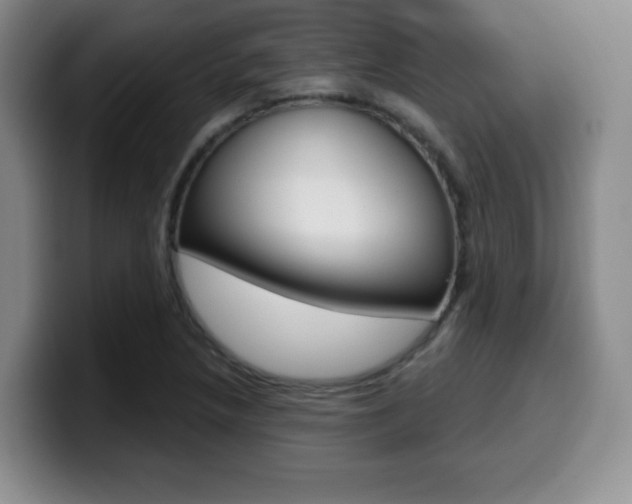 X0000099971218200805230955