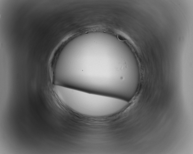 X0000099971219200805230955
