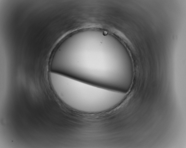 X0000099971220200805230955