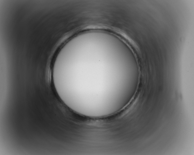 X0000099971221200805230955