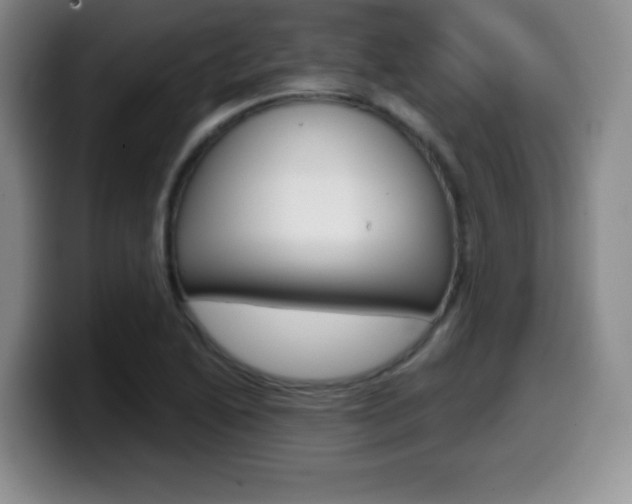 X0000099971222200805230955