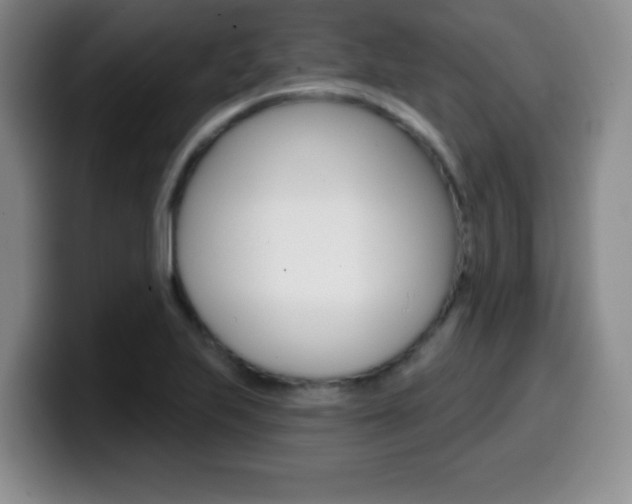 X0000099971223200805230955