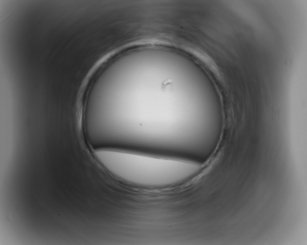 X0000099971224200805230955