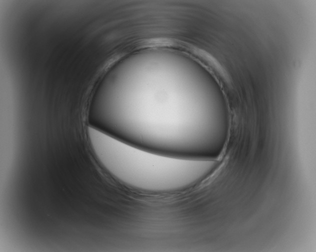 X0000099971225200805230955