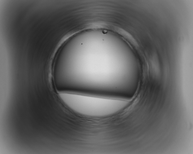 X0000099971226200805230955