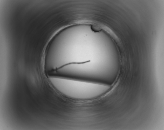 X0000099971228200805230955