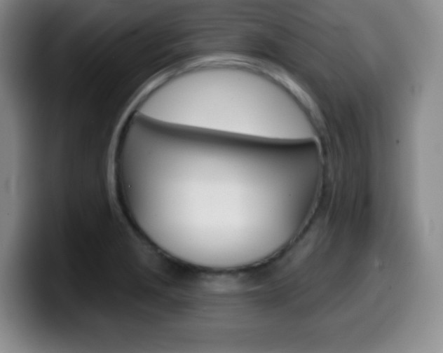 X0000099971229200805230955