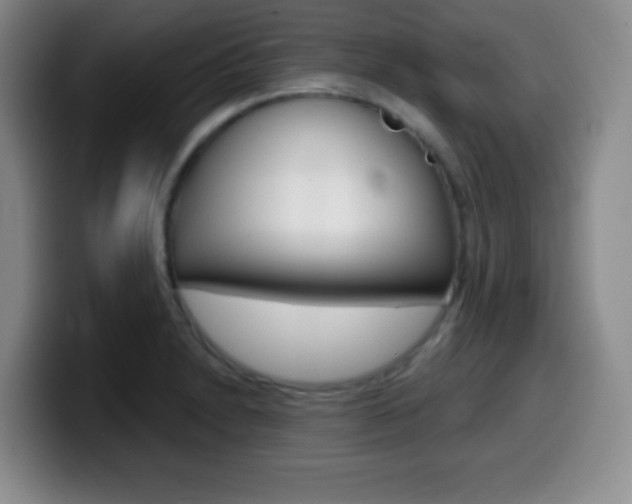 X0000099971230200805230955