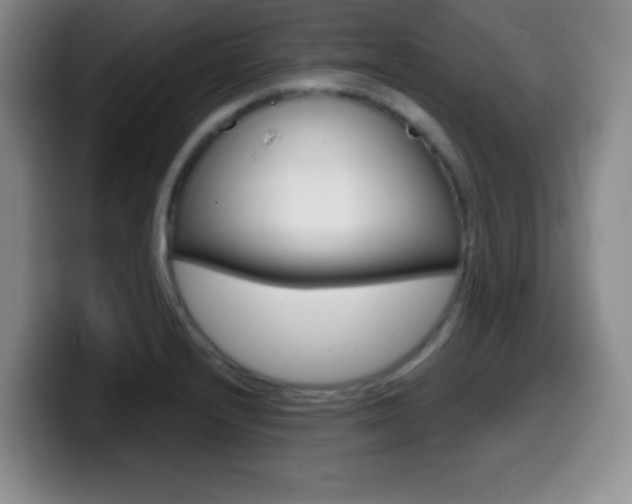 X0000099971232200805230955