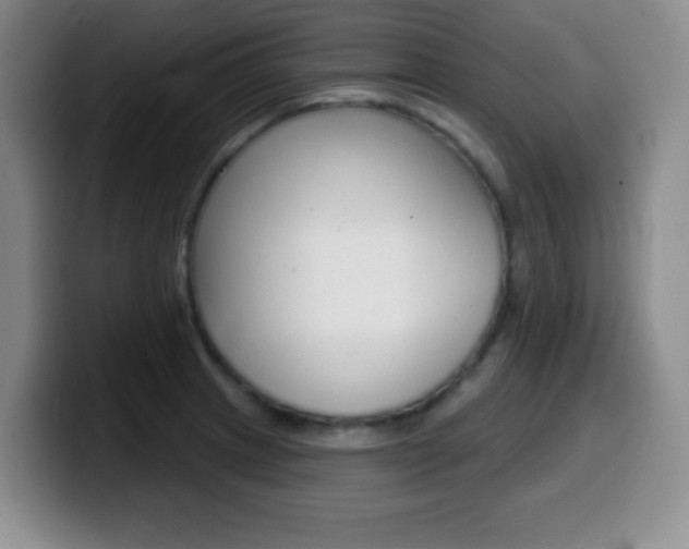 X0000099971233200805230955