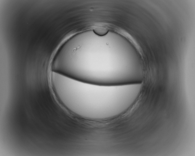 X0000099971235200805230955