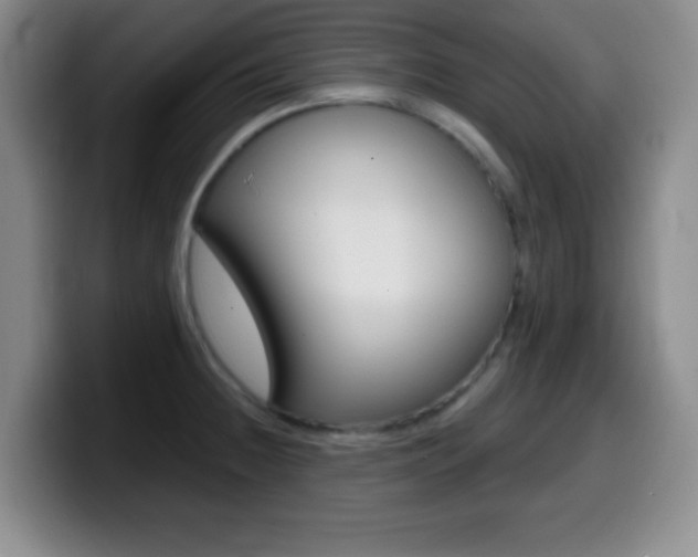 X0000099971236200805230955