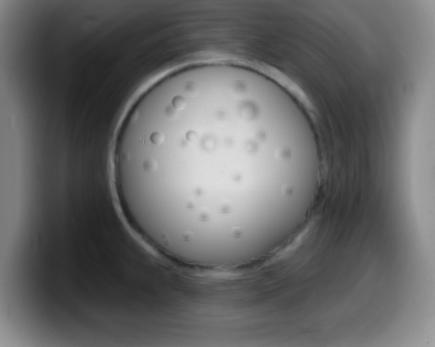 X0000099971239200805230955