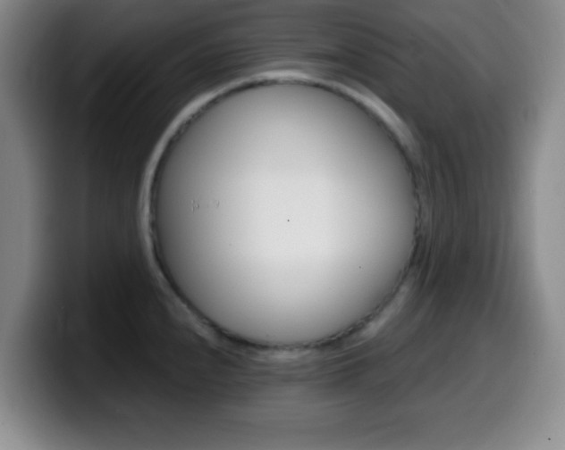 X0000099971240200805230955