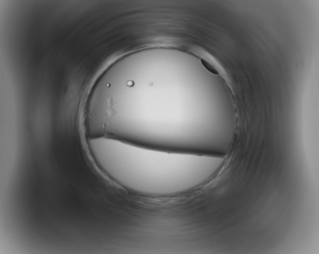 X0000099971243200805230955