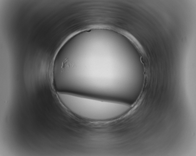 X0000099971244200805230955