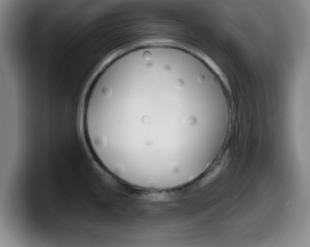 X0000099971245200805230955