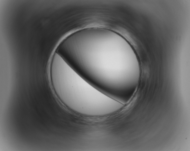 X0000099971246200805230955