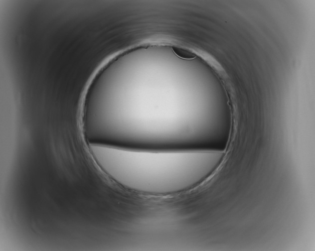 X0000099971248200805230955