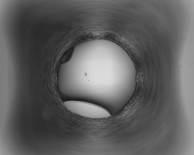 X0000099971249200805230954