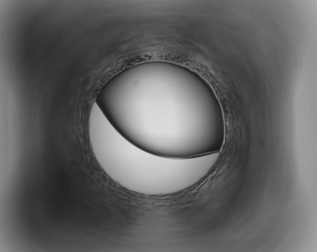 X0000099971253200805230954
