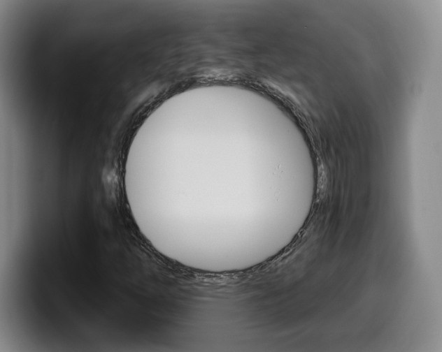 X0000099971254200805230954