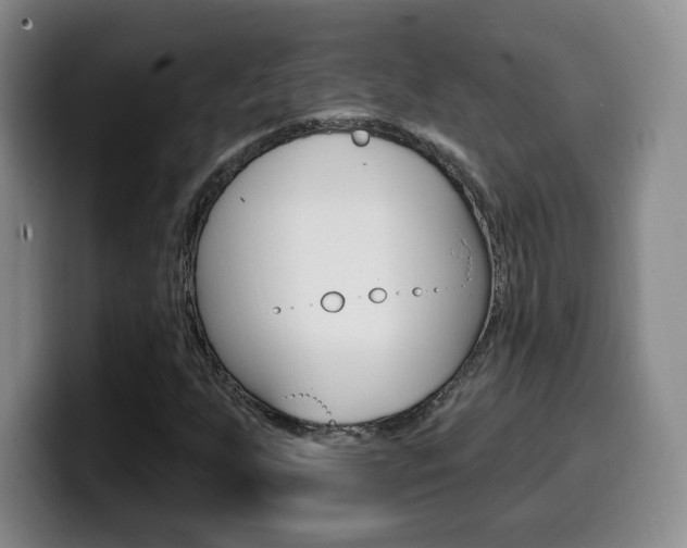 X0000099971255200805230954