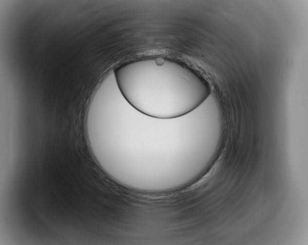 X0000099971257200805230954