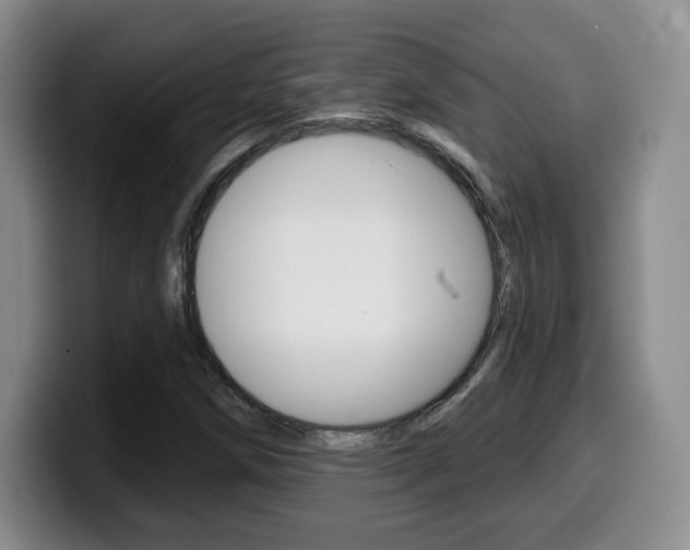 X0000099971258200805230954