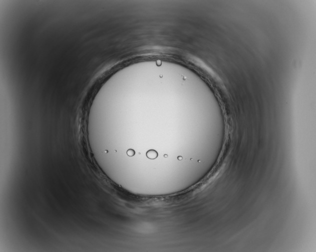 X0000099971259200805230954