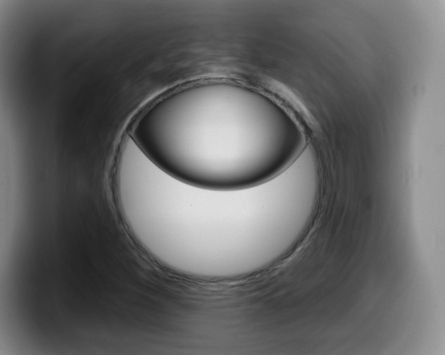 X0000099971260200805230954