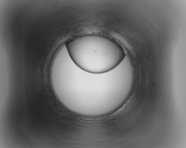 X0000099971261200805230954