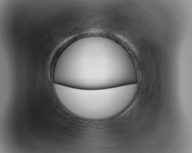 X0000099971262200805230954