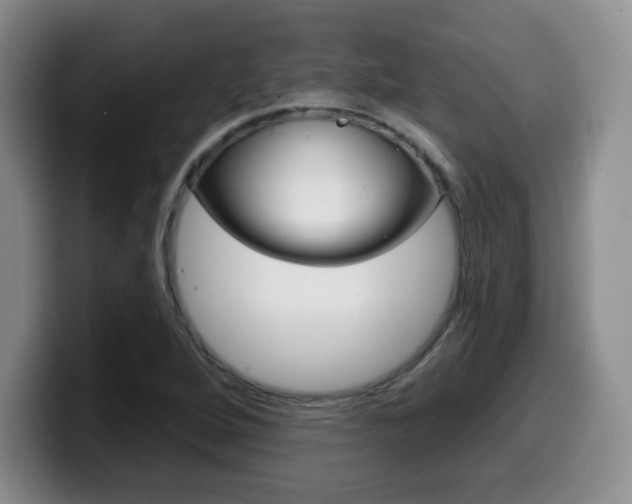 X0000099971264200805230954