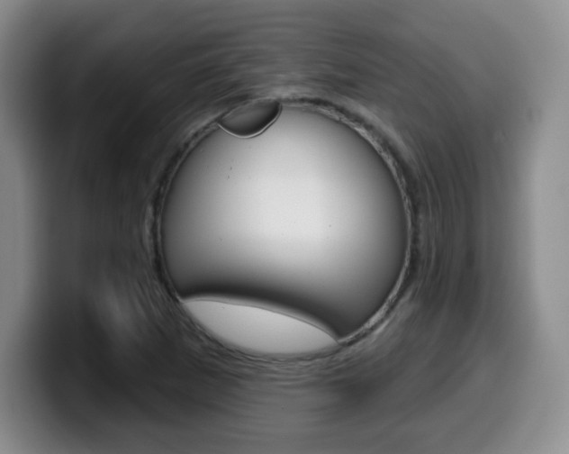 X0000099971265200805230954