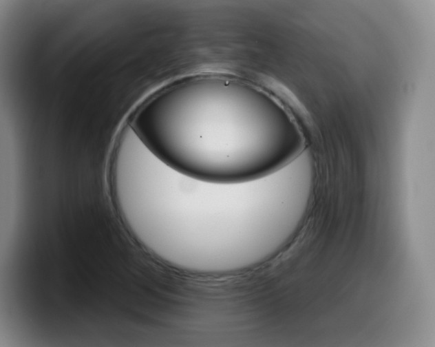 X0000099971268200805230954