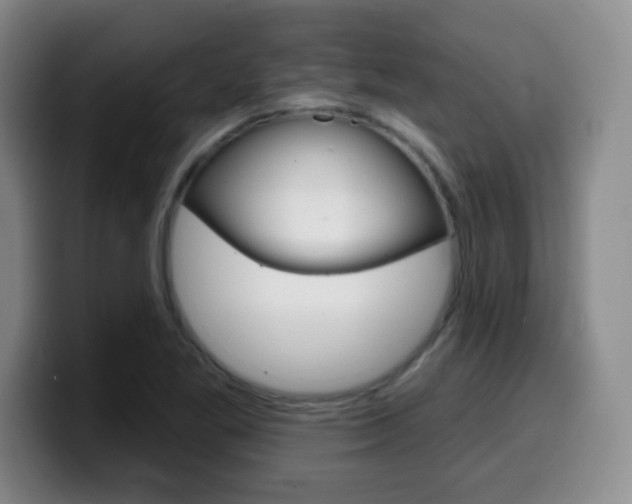 X0000099971269200805230954