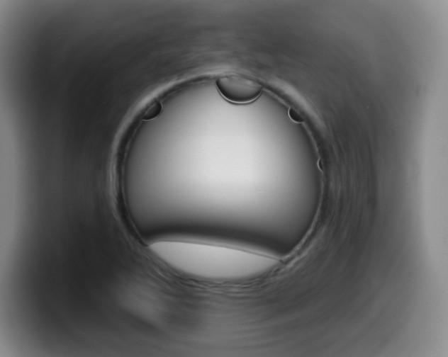 X0000099971270200805230954