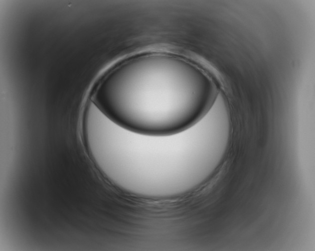 X0000099971272200805230954