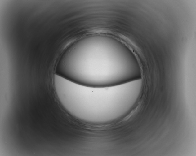 X0000099971273200805230954