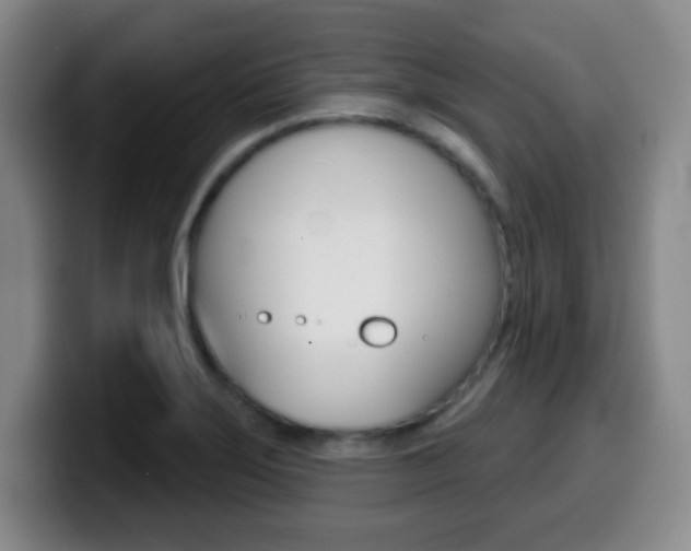 X0000099971275200805230954