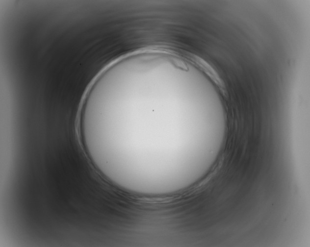 X0000099971276200805230954