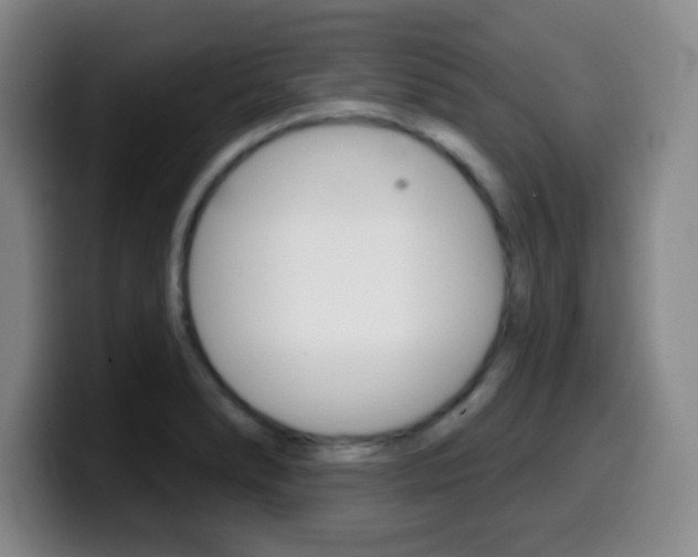 X0000099971278200805230954